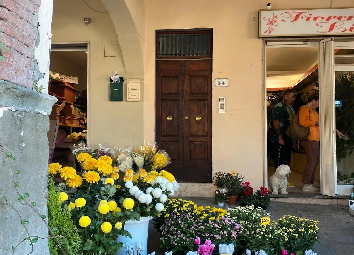 Il Tuo Posto A Greve In Chianti Apartment